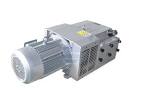 Oil free vacuum pump